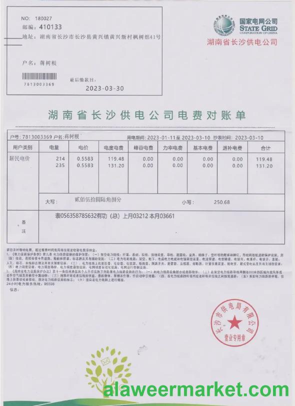 CHINA STATE POWER GRID utility bill Word and PDF template